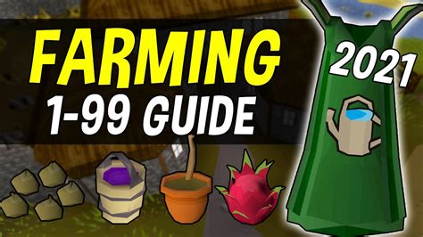 1-99 farming guide osrs|runescape farming guide 1 99.